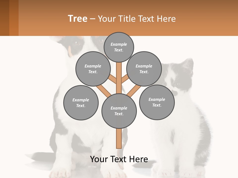 A Dog And A Cat Sitting Next To Each Other PowerPoint Template