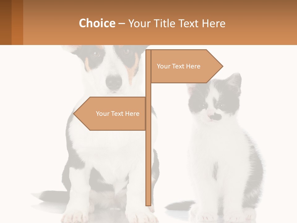 A Dog And A Cat Sitting Next To Each Other PowerPoint Template