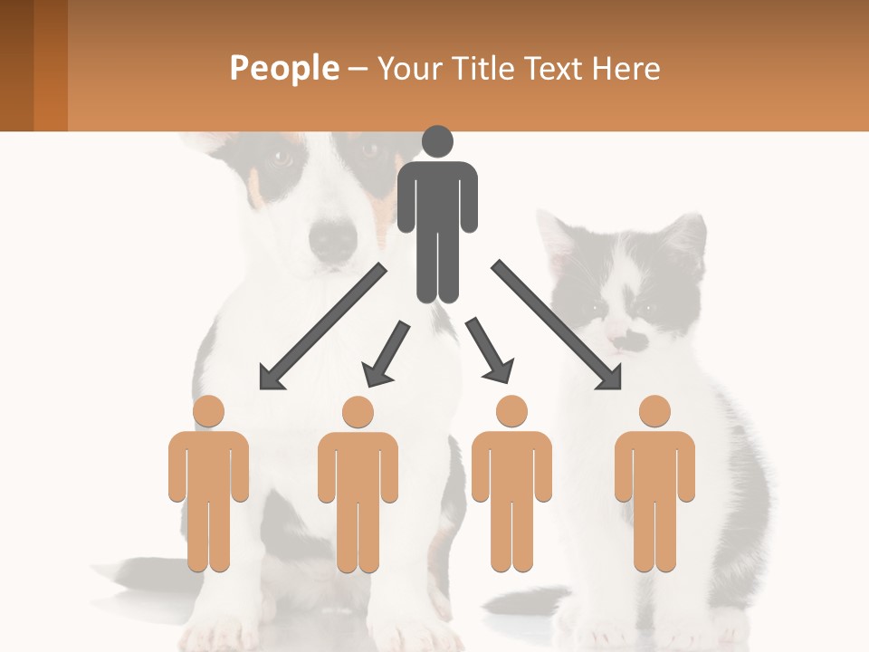 A Dog And A Cat Sitting Next To Each Other PowerPoint Template