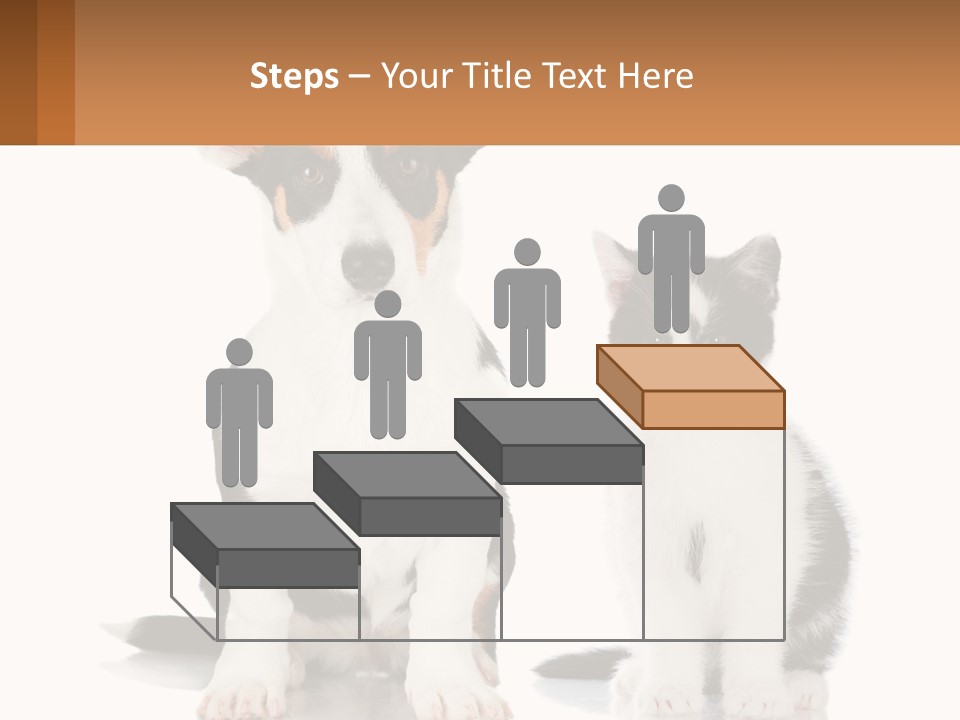A Dog And A Cat Sitting Next To Each Other PowerPoint Template