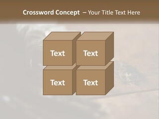 A Bunch Of Keys Sitting On Top Of A Wooden Table PowerPoint Template