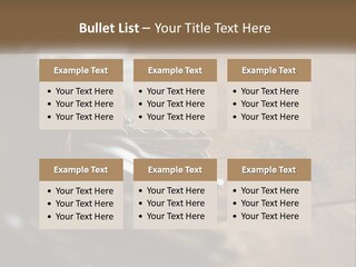 A Bunch Of Keys Sitting On Top Of A Wooden Table PowerPoint Template