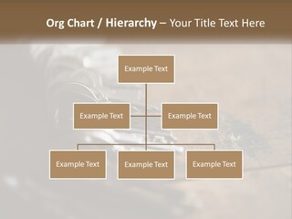 A Bunch Of Keys Sitting On Top Of A Wooden Table PowerPoint Template