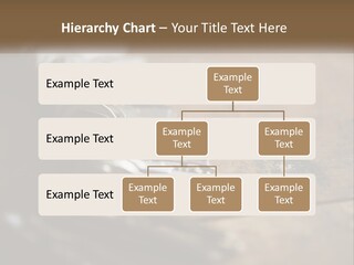 A Bunch Of Keys Sitting On Top Of A Wooden Table PowerPoint Template