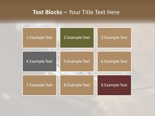 A Bunch Of Keys Sitting On Top Of A Wooden Table PowerPoint Template