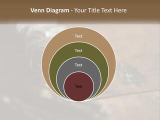 A Bunch Of Keys Sitting On Top Of A Wooden Table PowerPoint Template