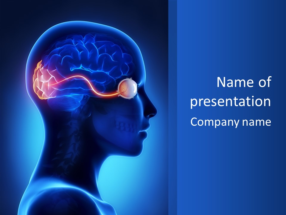 A Human Head With A Brain In The Middle Of It PowerPoint Template