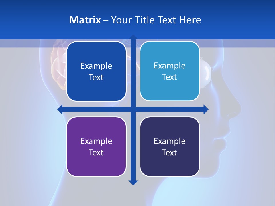 A Human Head With A Brain In The Middle Of It PowerPoint Template