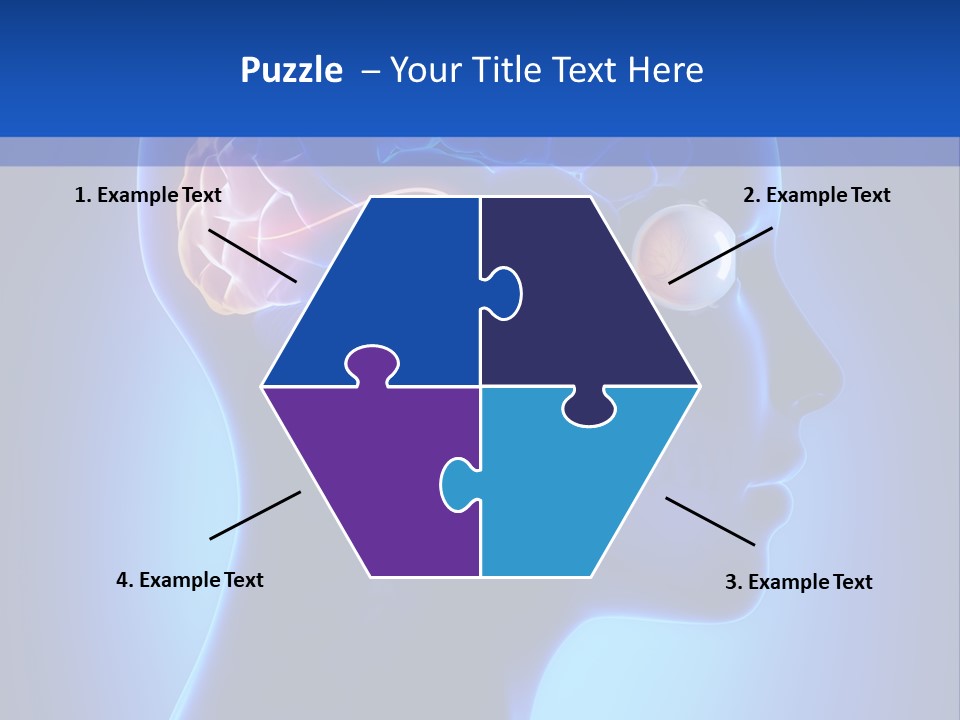 A Human Head With A Brain In The Middle Of It PowerPoint Template