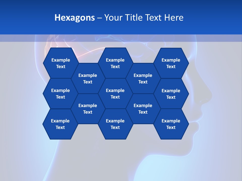 A Human Head With A Brain In The Middle Of It PowerPoint Template