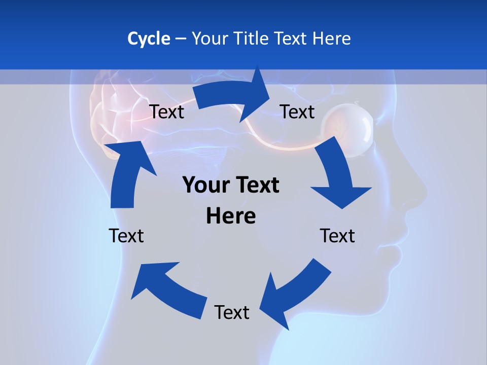 A Human Head With A Brain In The Middle Of It PowerPoint Template