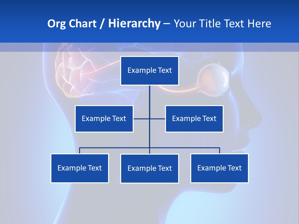 A Human Head With A Brain In The Middle Of It PowerPoint Template