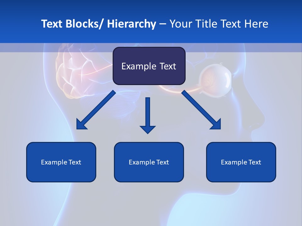 A Human Head With A Brain In The Middle Of It PowerPoint Template