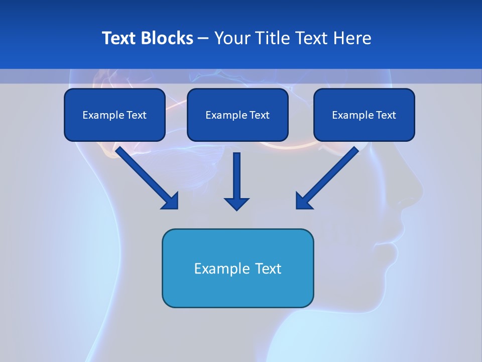 A Human Head With A Brain In The Middle Of It PowerPoint Template