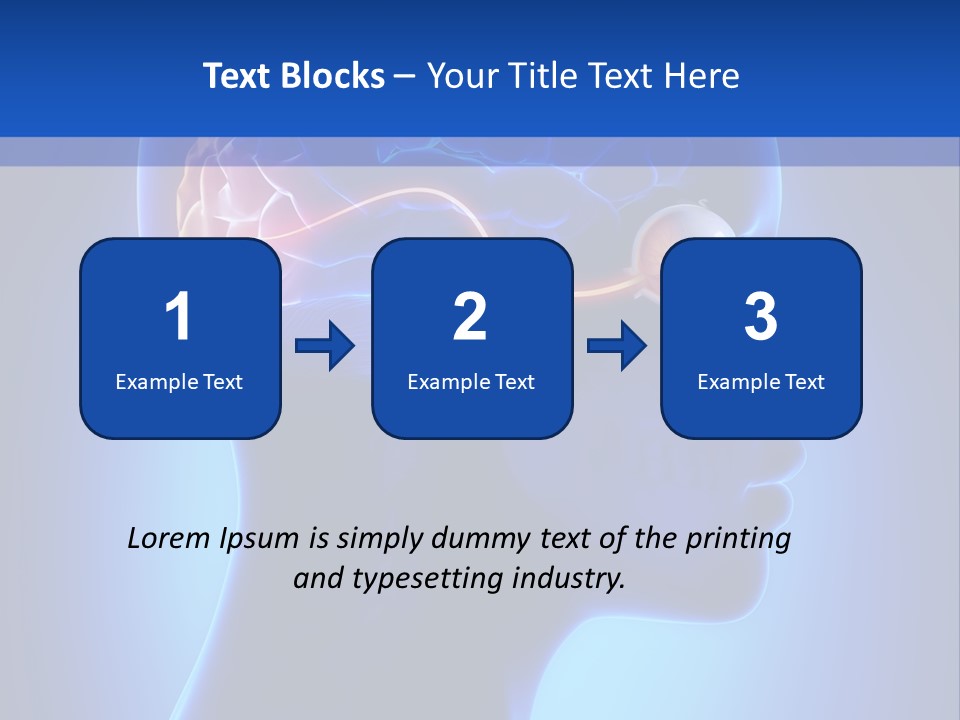 A Human Head With A Brain In The Middle Of It PowerPoint Template