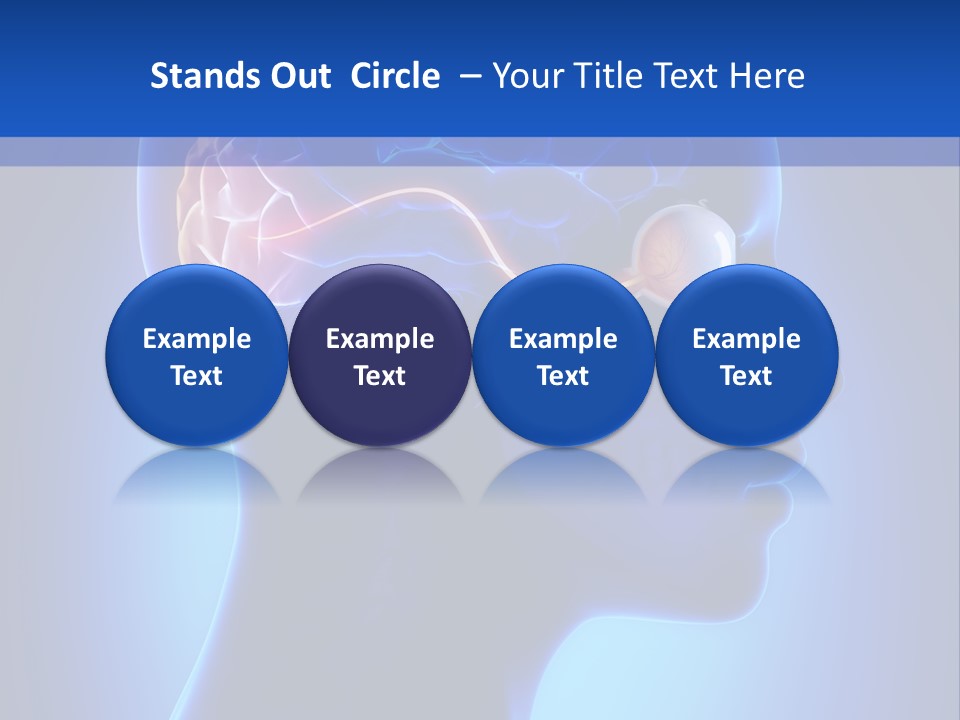 A Human Head With A Brain In The Middle Of It PowerPoint Template