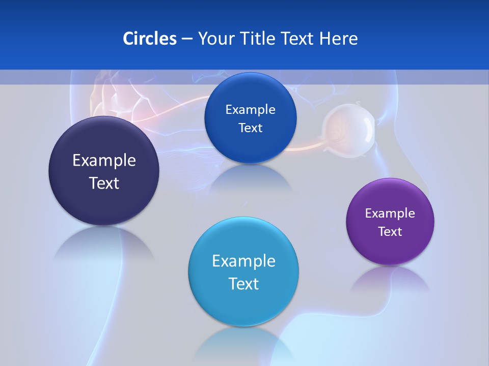 A Human Head With A Brain In The Middle Of It PowerPoint Template