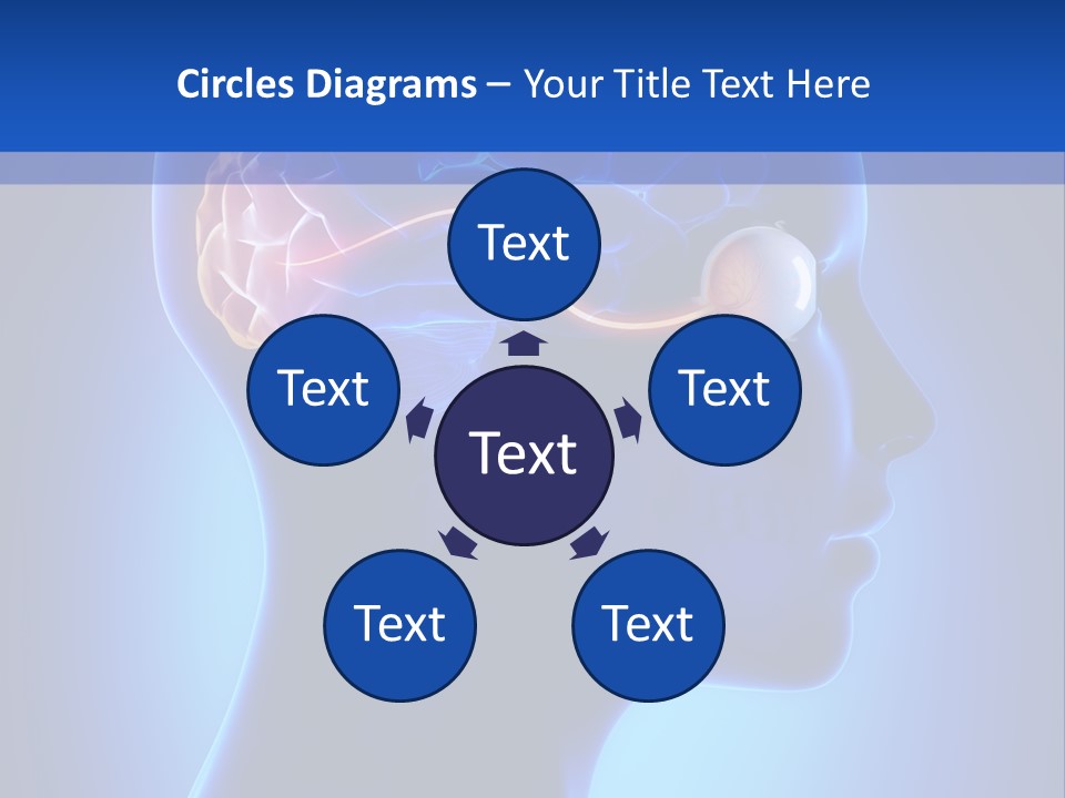 A Human Head With A Brain In The Middle Of It PowerPoint Template