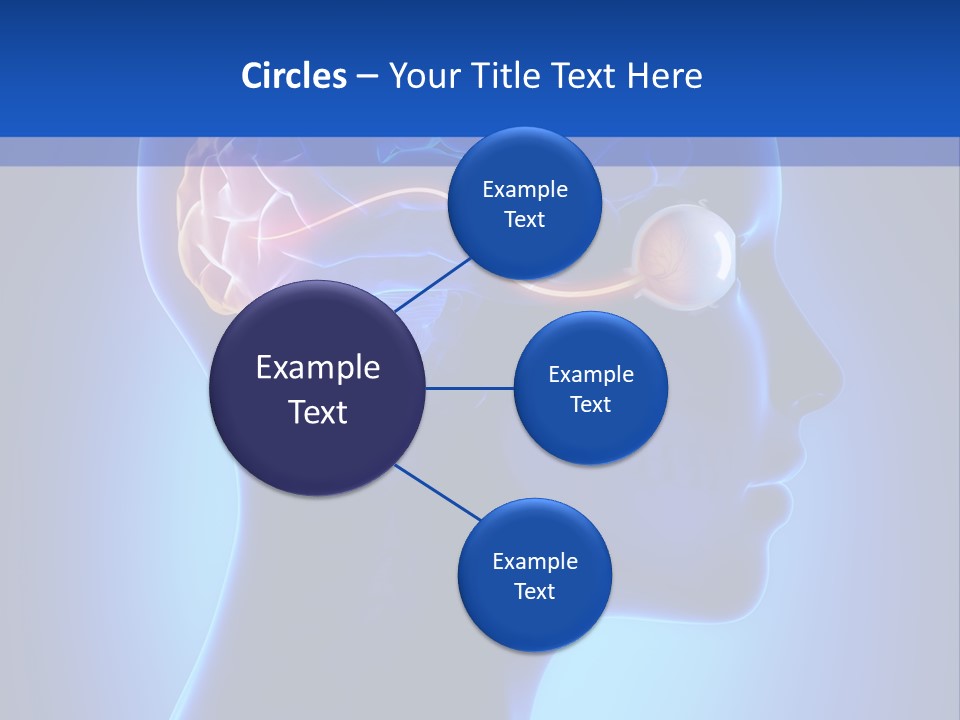 A Human Head With A Brain In The Middle Of It PowerPoint Template