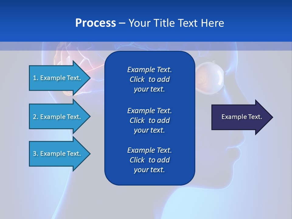 A Human Head With A Brain In The Middle Of It PowerPoint Template