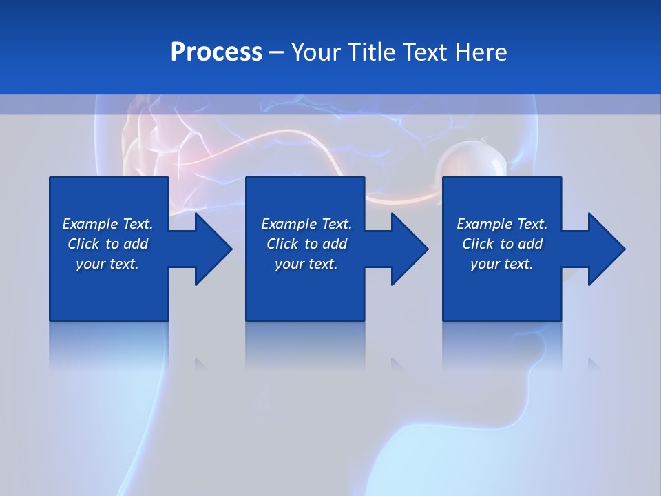 A Human Head With A Brain In The Middle Of It PowerPoint Template