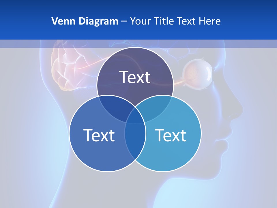 A Human Head With A Brain In The Middle Of It PowerPoint Template