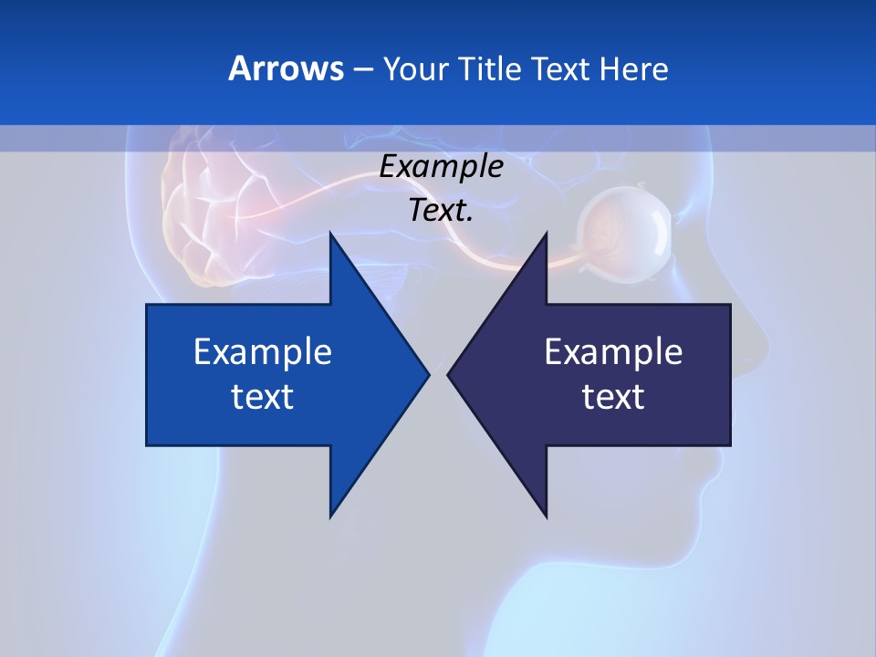 A Human Head With A Brain In The Middle Of It PowerPoint Template