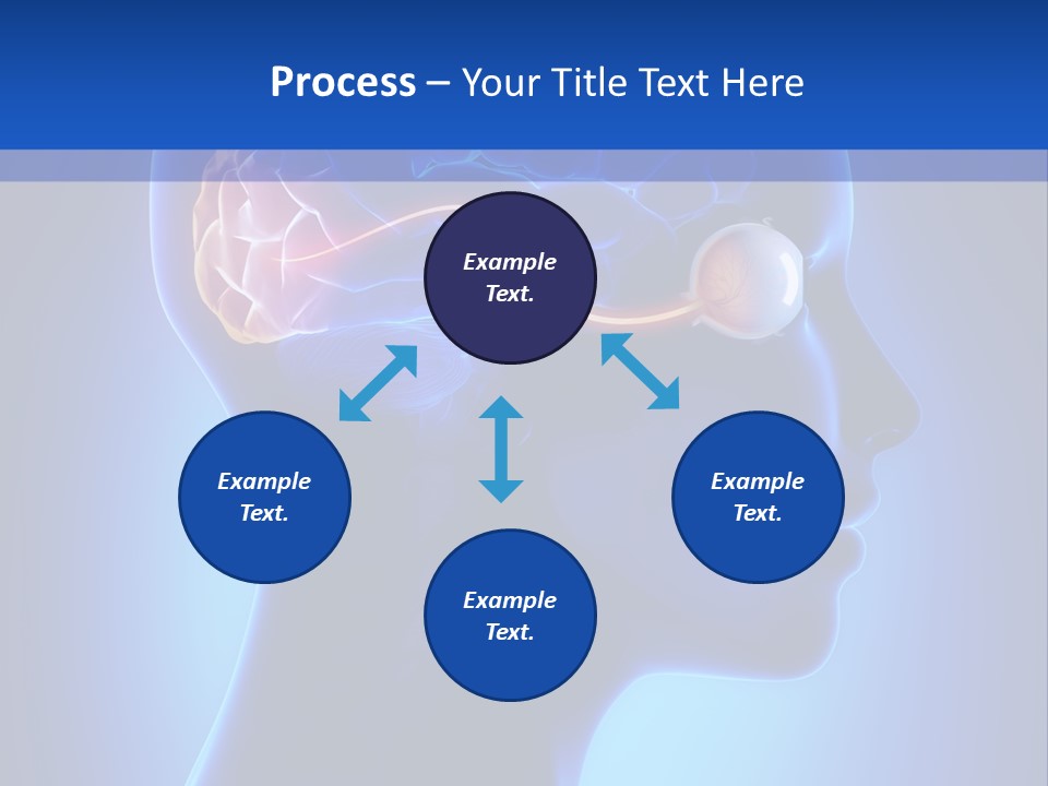 A Human Head With A Brain In The Middle Of It PowerPoint Template