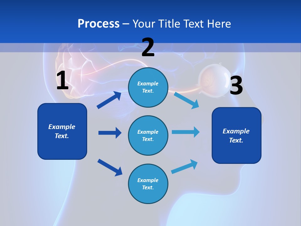 A Human Head With A Brain In The Middle Of It PowerPoint Template