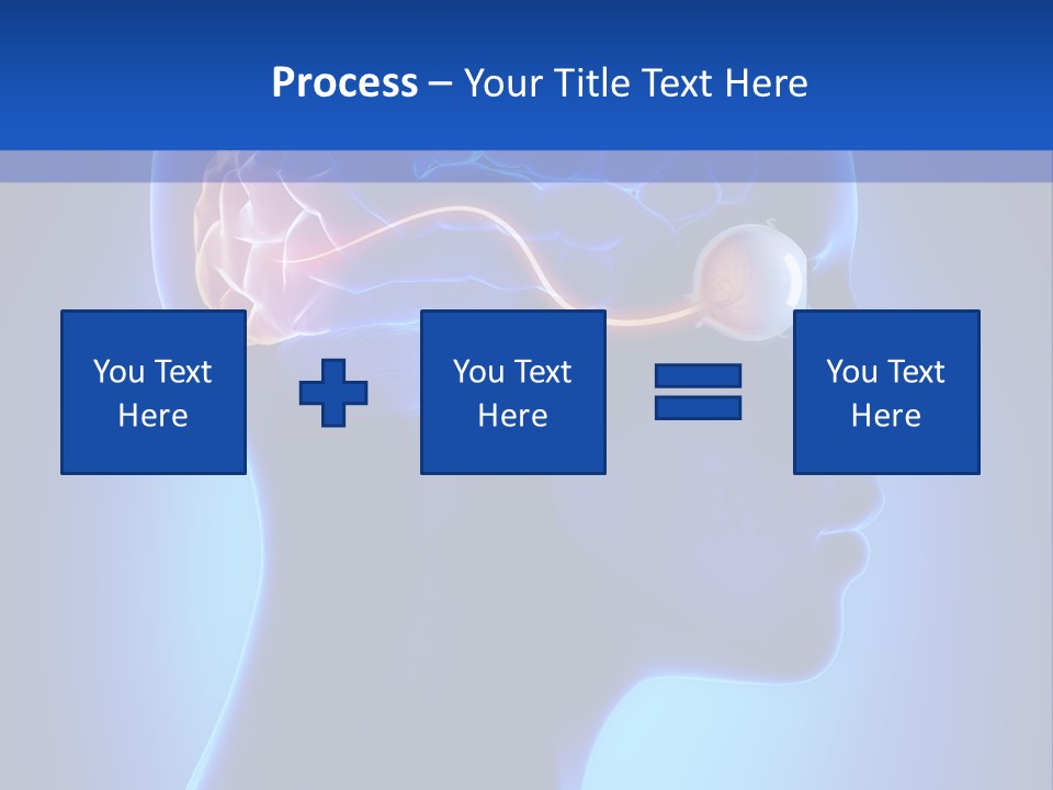 A Human Head With A Brain In The Middle Of It PowerPoint Template