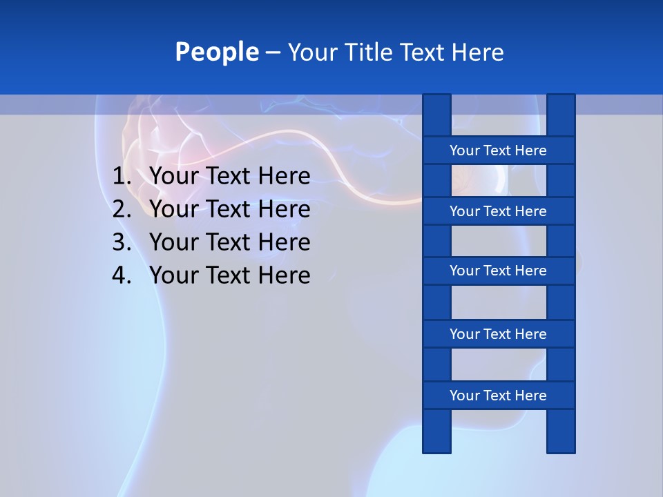 A Human Head With A Brain In The Middle Of It PowerPoint Template