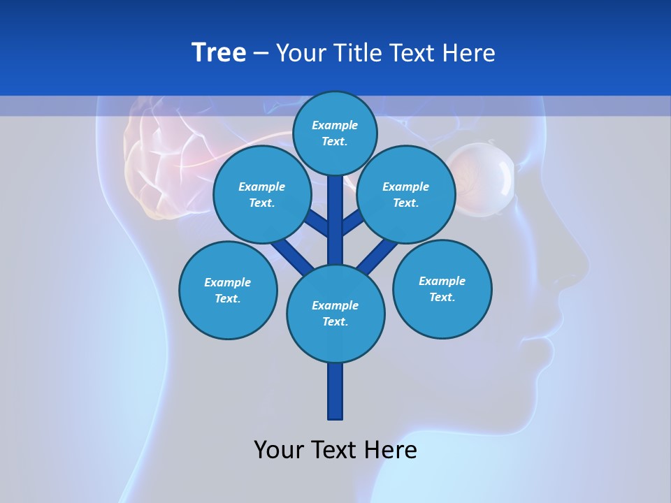 A Human Head With A Brain In The Middle Of It PowerPoint Template