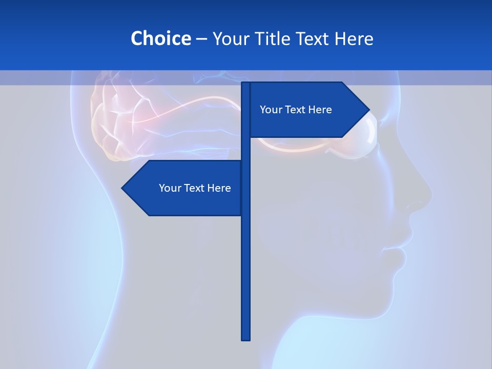 A Human Head With A Brain In The Middle Of It PowerPoint Template