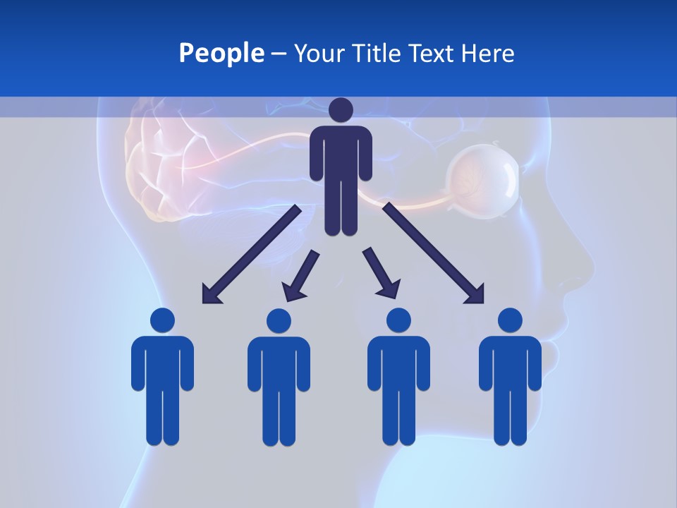 A Human Head With A Brain In The Middle Of It PowerPoint Template