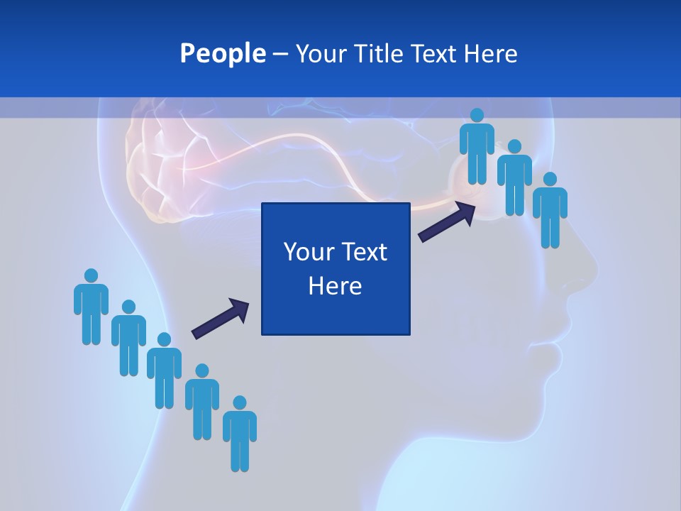 A Human Head With A Brain In The Middle Of It PowerPoint Template