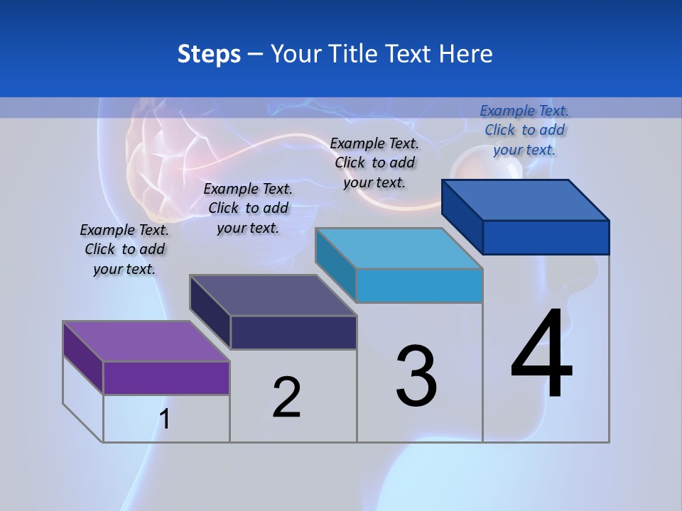A Human Head With A Brain In The Middle Of It PowerPoint Template