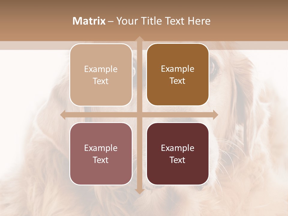 A Dog With A Hat On It's Head PowerPoint Template