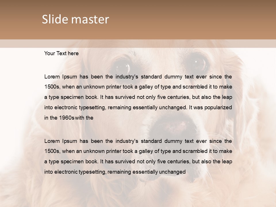 A Dog With A Hat On It's Head PowerPoint Template