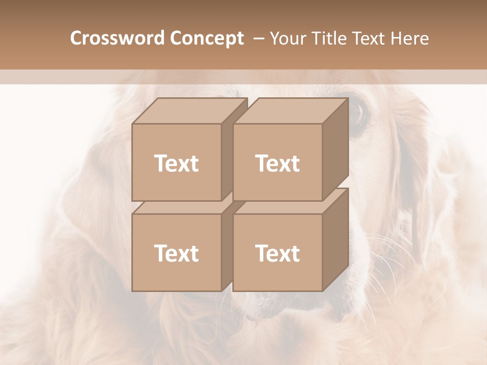 A Dog With A Hat On It's Head PowerPoint Template