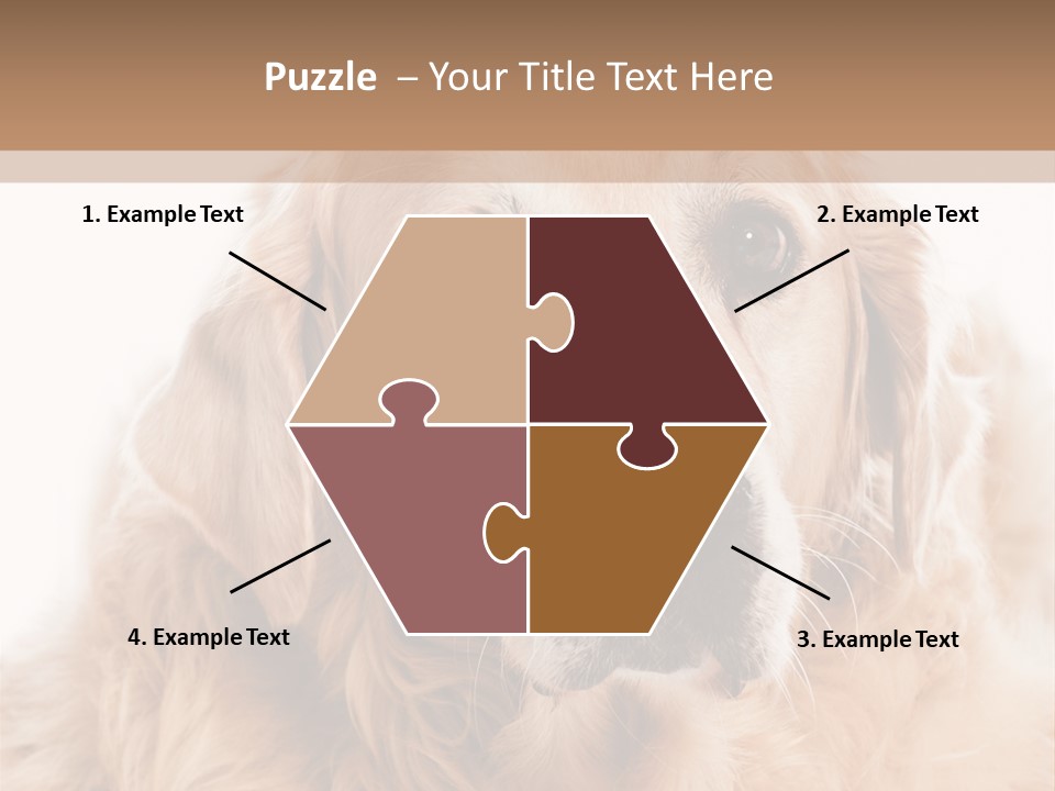 A Dog With A Hat On It's Head PowerPoint Template