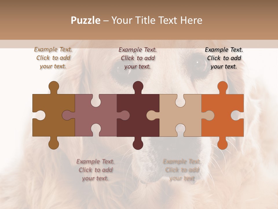 A Dog With A Hat On It's Head PowerPoint Template