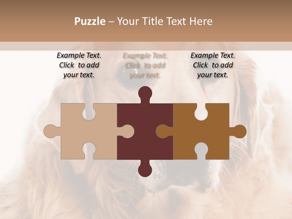 A Dog With A Hat On It's Head PowerPoint Template