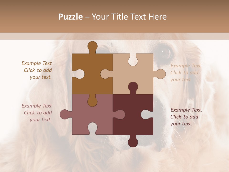 A Dog With A Hat On It's Head PowerPoint Template