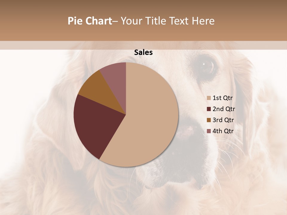 A Dog With A Hat On It's Head PowerPoint Template