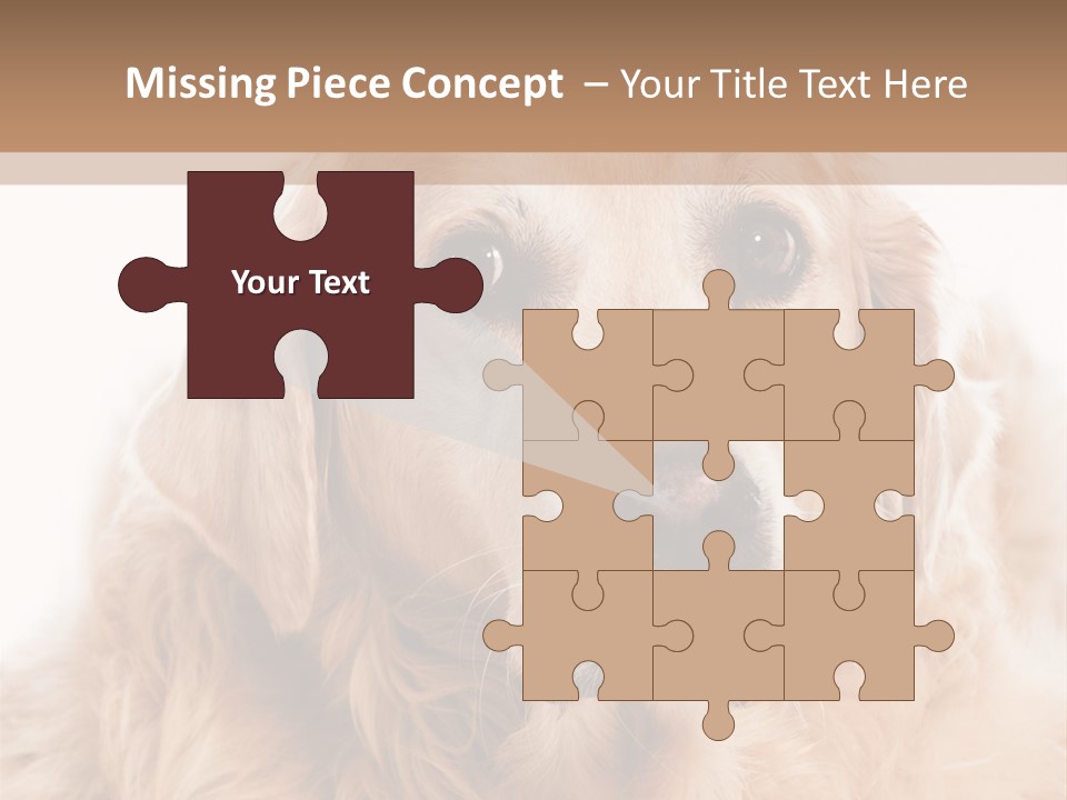 A Dog With A Hat On It's Head PowerPoint Template