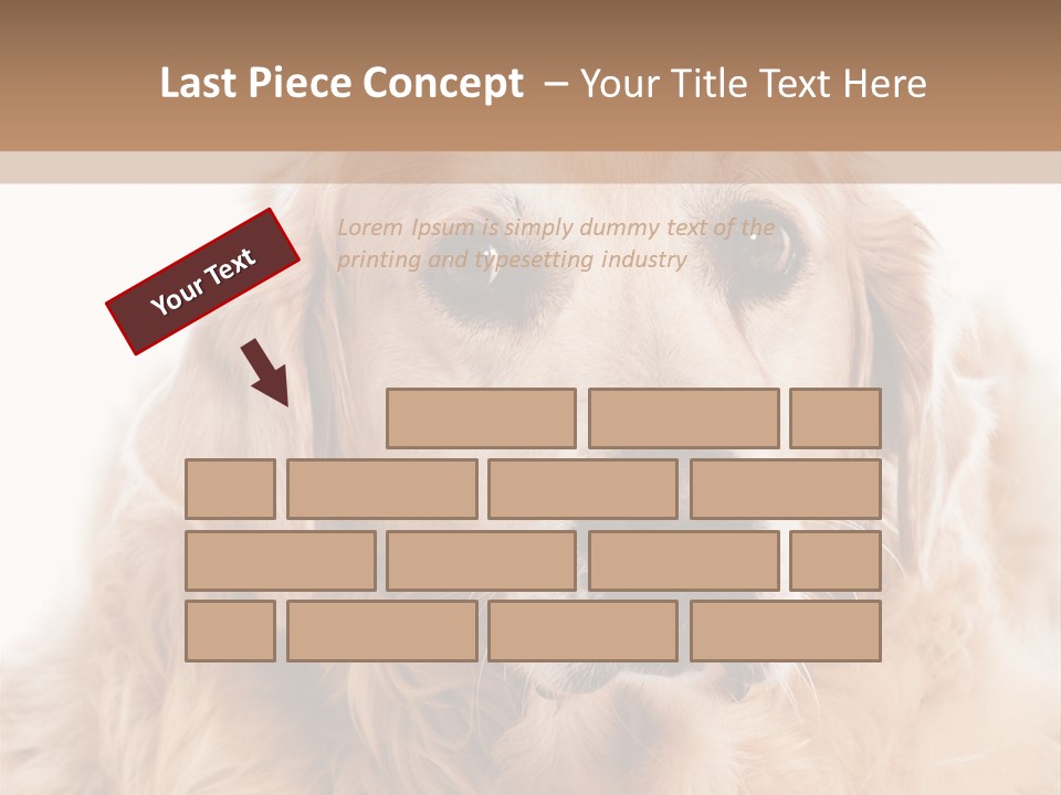 A Dog With A Hat On It's Head PowerPoint Template