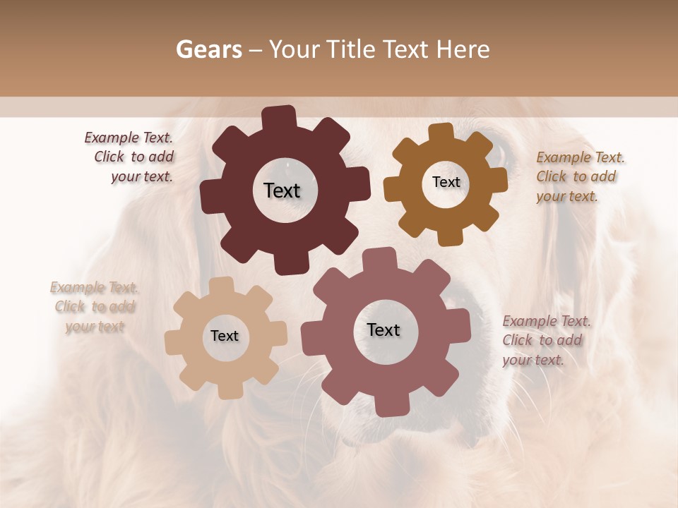 A Dog With A Hat On It's Head PowerPoint Template