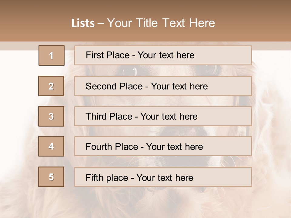 A Dog With A Hat On It's Head PowerPoint Template