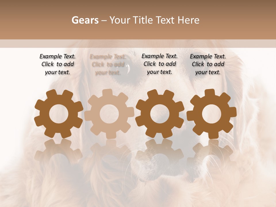 A Dog With A Hat On It's Head PowerPoint Template