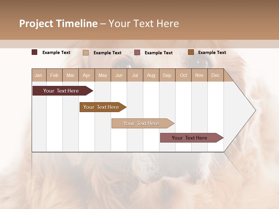 A Dog With A Hat On It's Head PowerPoint Template